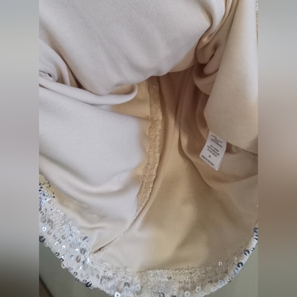 Vici Sequin Platinum balloon sleeve Dress Size M - Picture 12 of 15